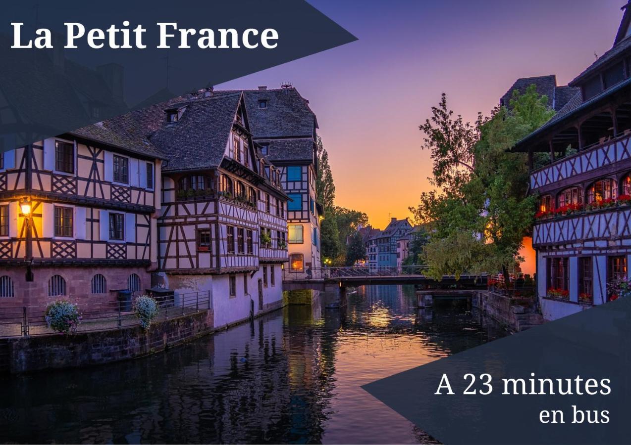 Le Reve Bleu - Golden Tree - Wifi - 15Min Centre Ville De Strasbourg Schiltigheim Ngoại thất bức ảnh